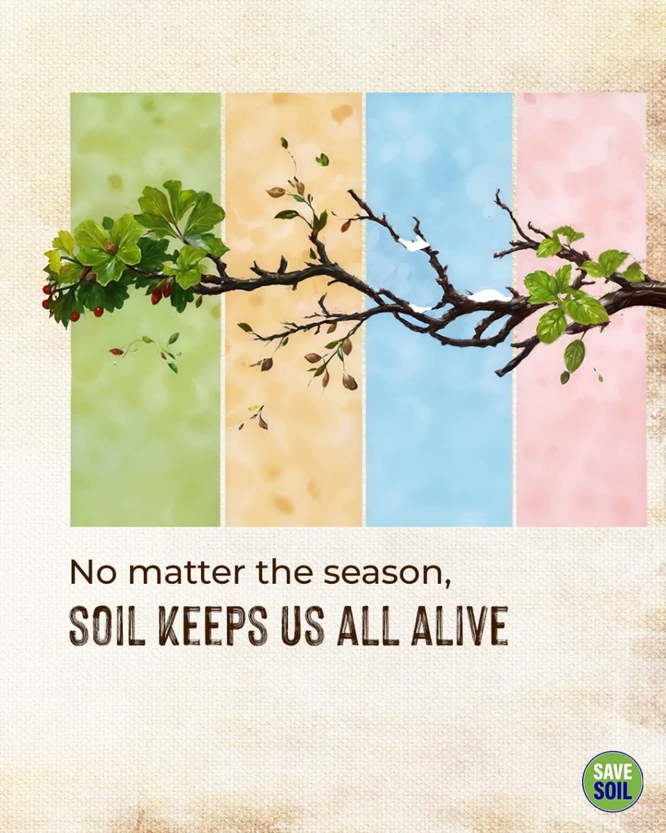 sorte_swat29249's tweet photo. In many ways, Soil is the underlying platform upon which life springs forth. If we fix soil, we have the best chance of fixing the whole#SaveSoil 🌿
#SaveSoilSecureFuture 💚
#SoilFirst 🙏
#SoilForClimateAction 🍃
#AllHandsForSoil 🙌
#3YearsOfSaveSoil https://t.co/CvHtS2mSfj