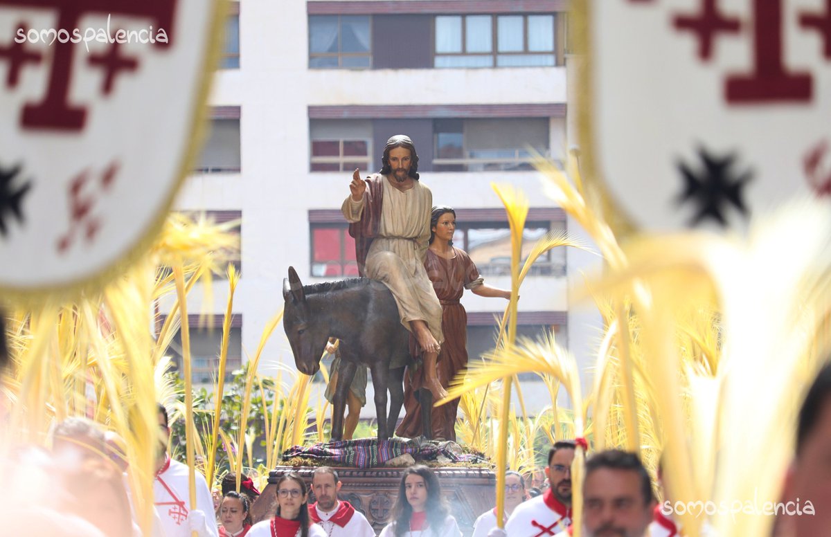 SomosPalencia's tweet photo. Palencia arropa a La Borriquilla en este Domingo de Ramos 🐴🌴 https://t.co/vyYbCMcaie
