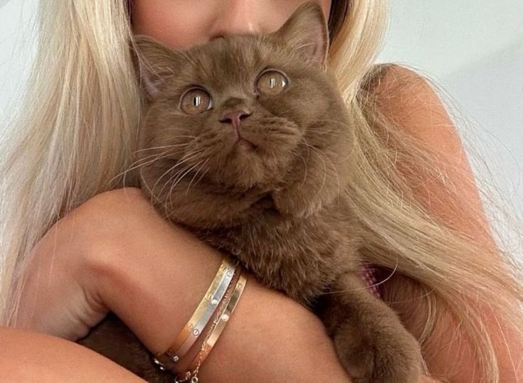 Jullina Lannister tweet media