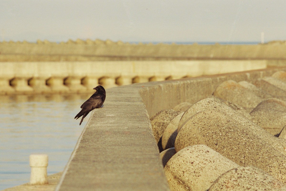 notebook (@notebook383) / Posts / X