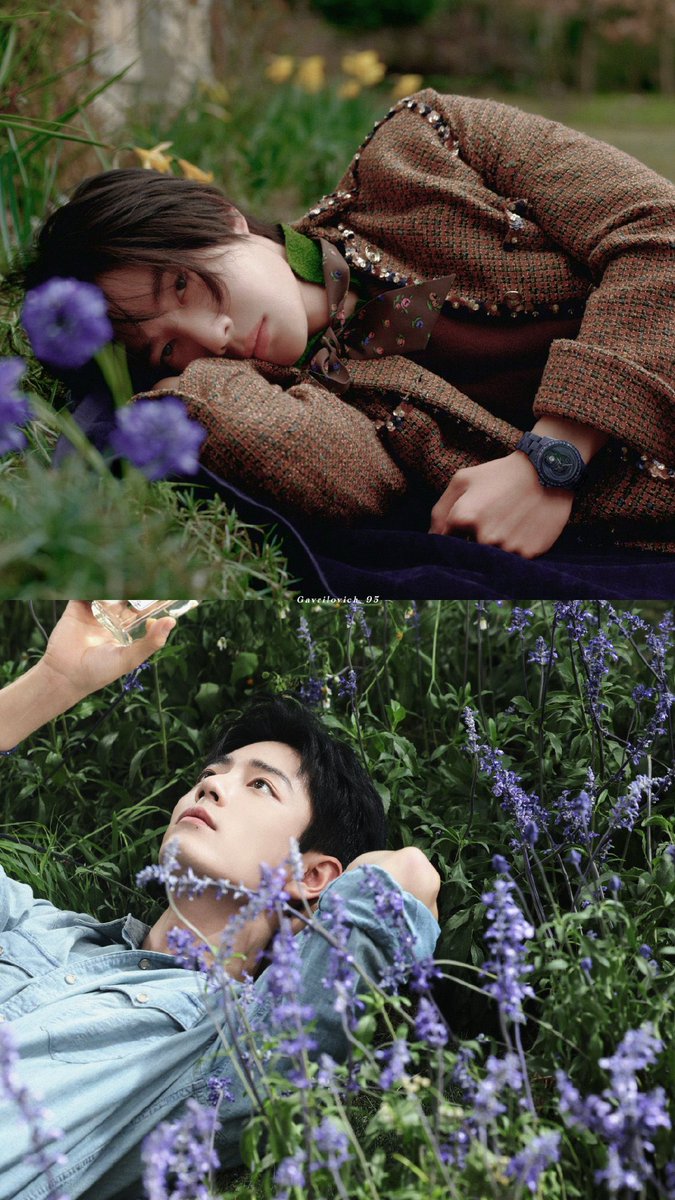 내꽃가나디들 미모가 4월에도 제철