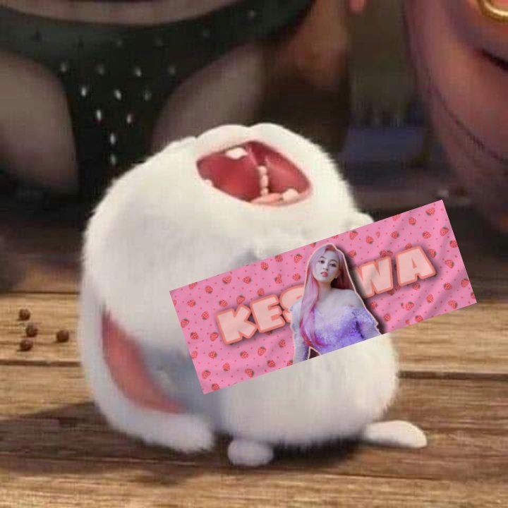 Iqbal Liu tweet media