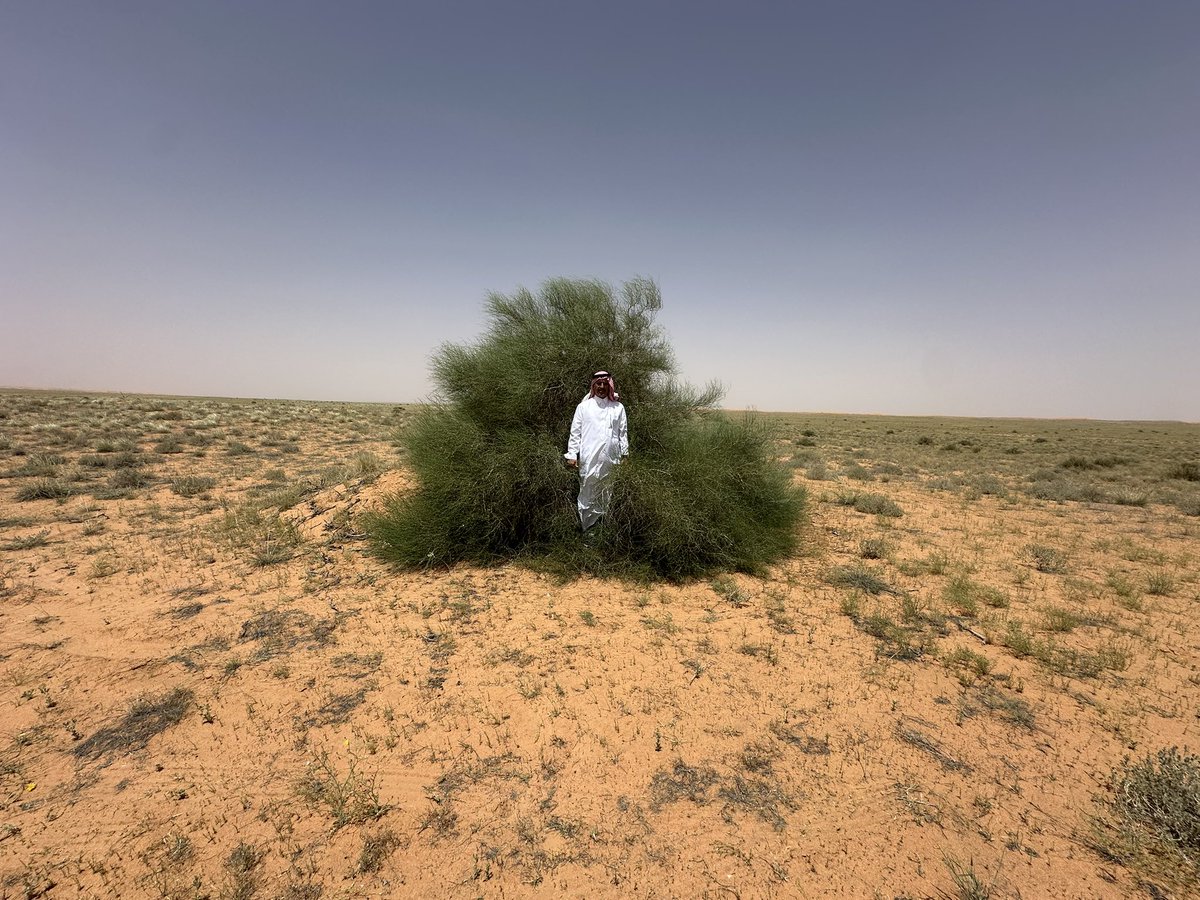 متعب بن فهد الفيصل 🇸🇦 tweet media