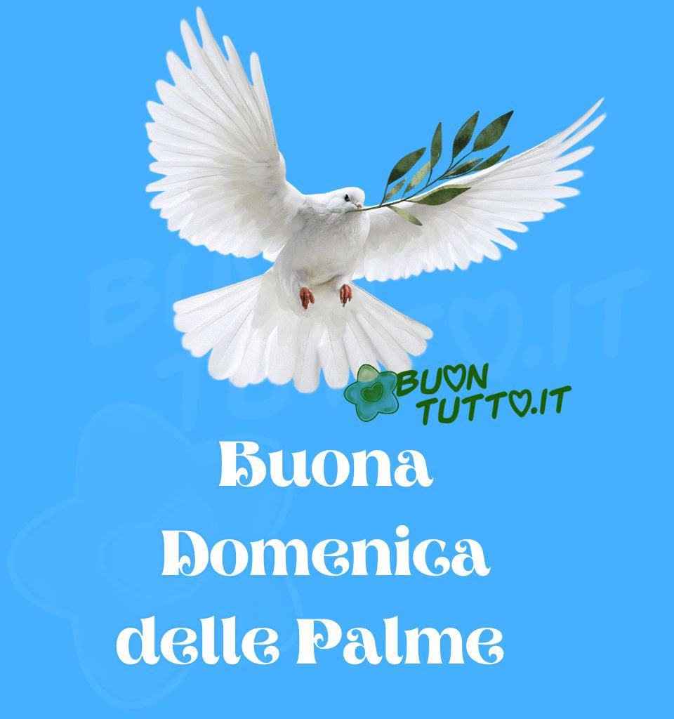 aboubakar_soum's tweet photo. #Auguro a tutte le sorelle e a tutti i fratelli cristiani una BuonaDdomenica delle palme.
Celebriamo insieme all’insegna della speranza, della pace e dell’amore.
#domenicadellepalme https://t.co/wk8oKW0TZk