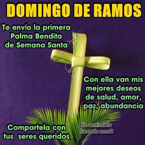 Feliz Domingo de Ramos