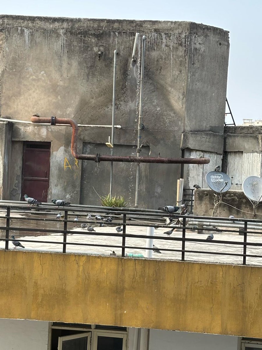 Shiikharrr_'s tweet photo. Absolutely SHAMEFUL!
@DCPCityGZB @UPGovt @ghaziabadpolice @CMOfficeUP @dm_ghaziabad @Deepak_150786 
@GNNGZB

BALAJI FOSTER HEIGHTS, Crossings Republik Ghaziabad is wasting thousands of litres of water Daily! 💦🚨
The water tank overflows non-stop, https://t.co/QqIdTWBpCO