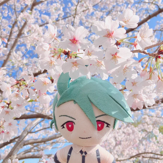 またしても半月くらい放置しかけててすみませんこれは先日見てきた桜 