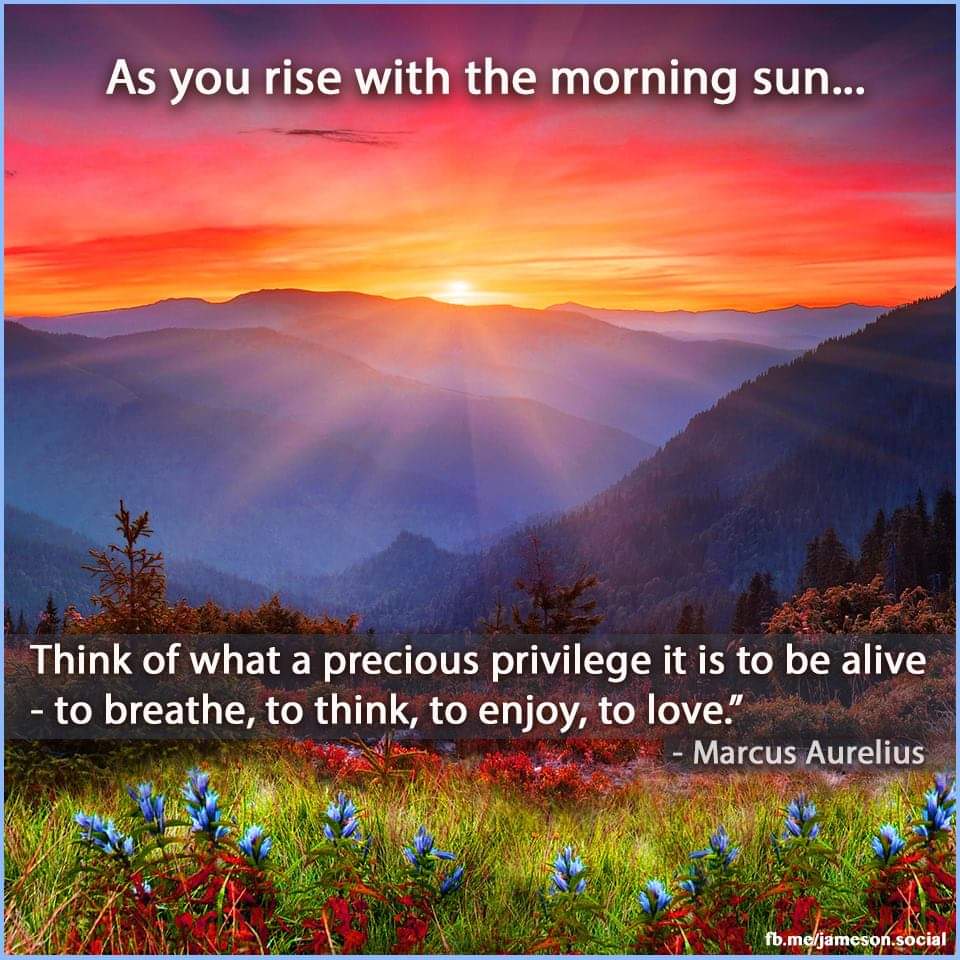 <a href="/JesseWolfDancer/">JesseDancesWithWolves</a> Good morning ☕️ 🌄 🙏