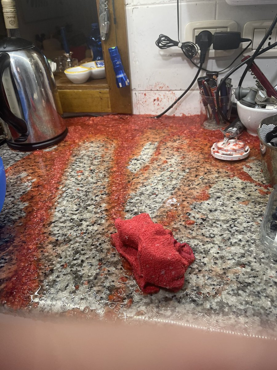 GRAUER PALMSONNTAG.
Der einzige Farbtupfer hinterliess mein explodierter Mixer in der Küche.
SO WAS KANN DICH DANN WIRKLICH AUF DIE PALME JAGEN😡