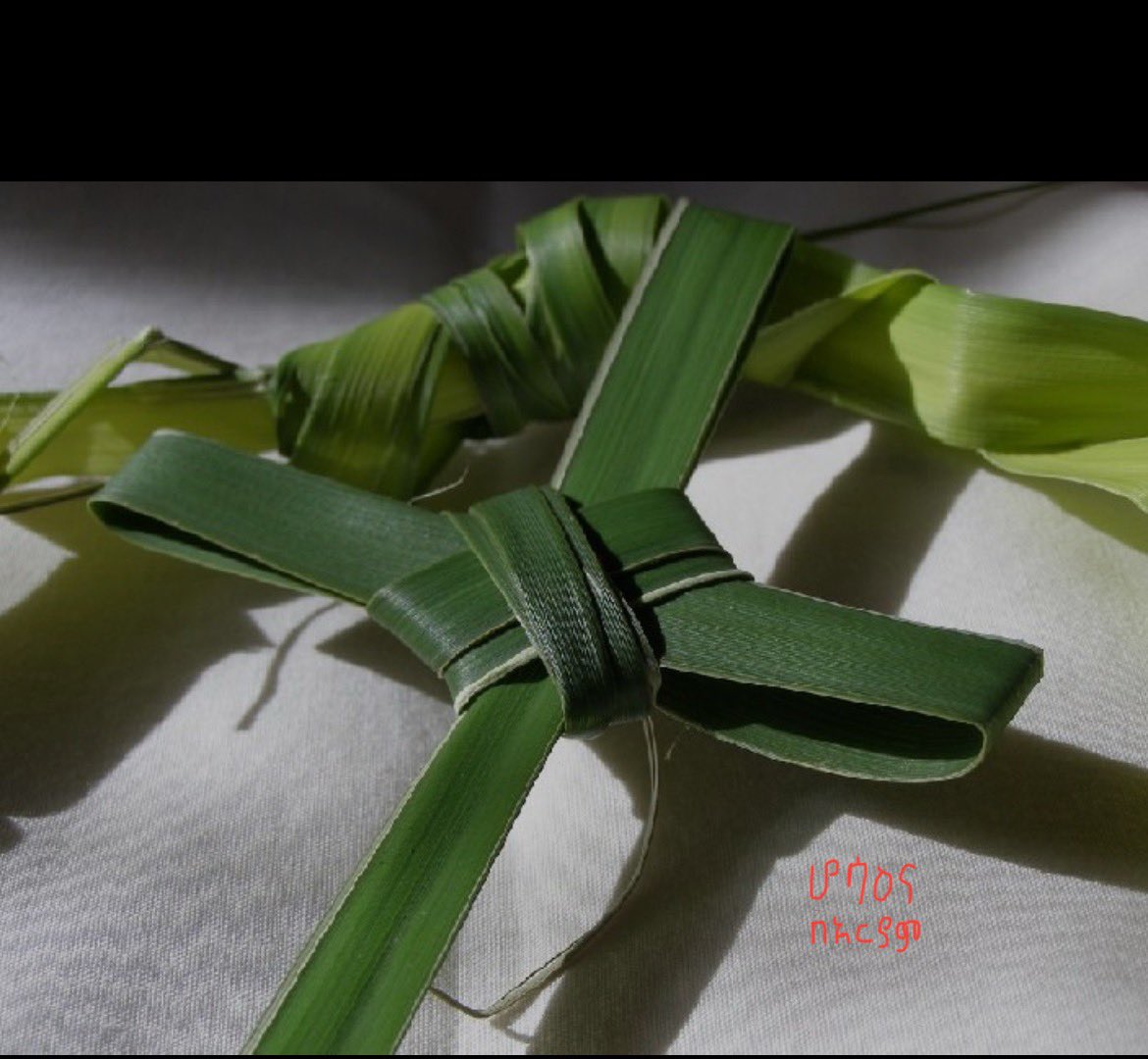 ሆሣዕና በአርያም ! እንኳን አደረሳቹ
Hosanna 🙏🏿#EOTC 

ማቴዎስ 21:9፤ የሚቀድሙትም ሕዝብ የሚከተሉትም፦ “ሆሣዕና ለዳዊት ልጅ በጌታ ስም የሚመጣ የተባረከ ነው፤ ሆሣዕና በአርያም፡” እያሉ ይጮኹ ነበር።