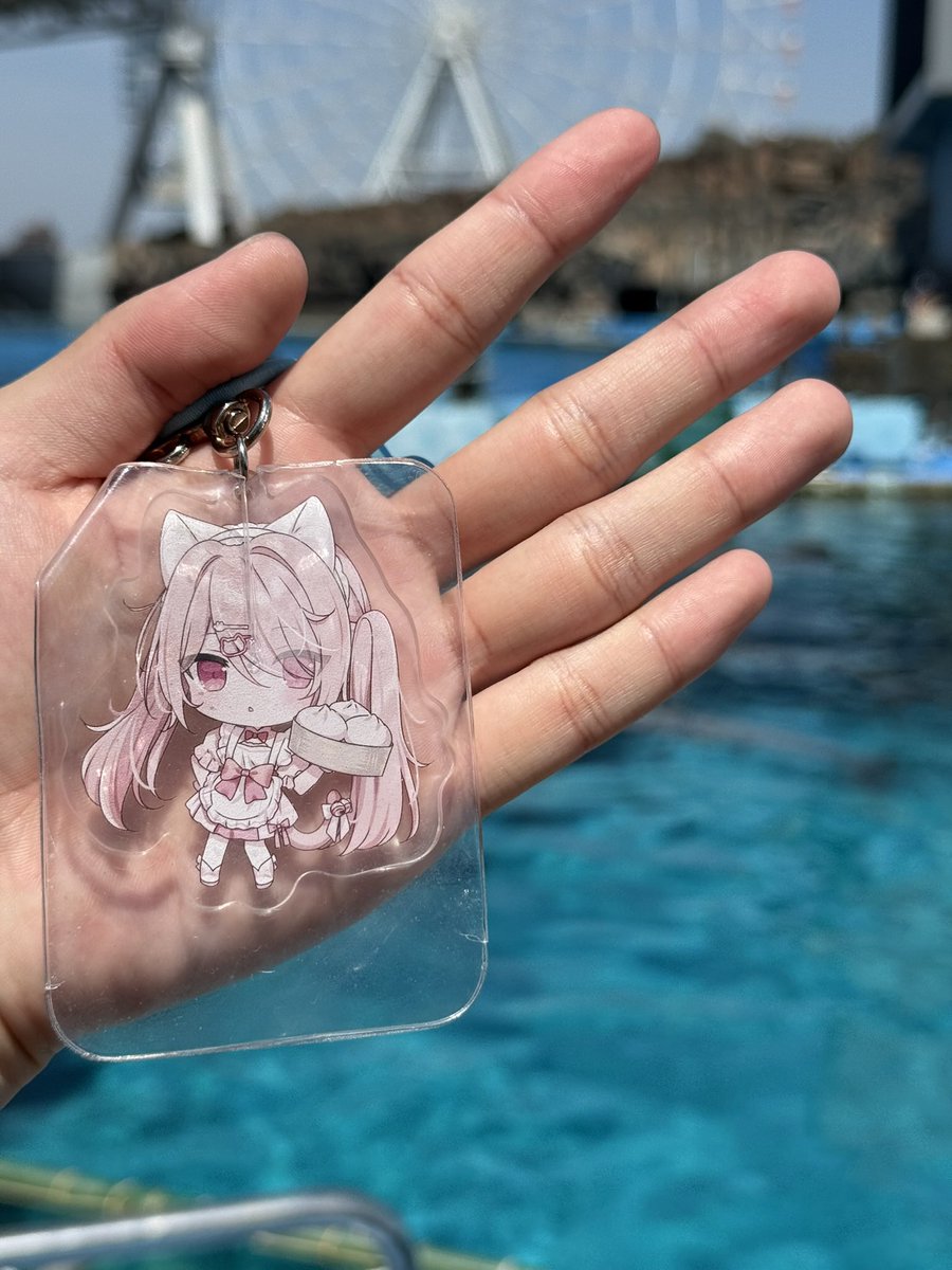 meivlrt's tweet photo. 📍名古屋港水族館

ねこりと行ってきたよ〜久しぶりの名古屋楽しかった！

 #neccotag https://t.co/D1BFUl97ra