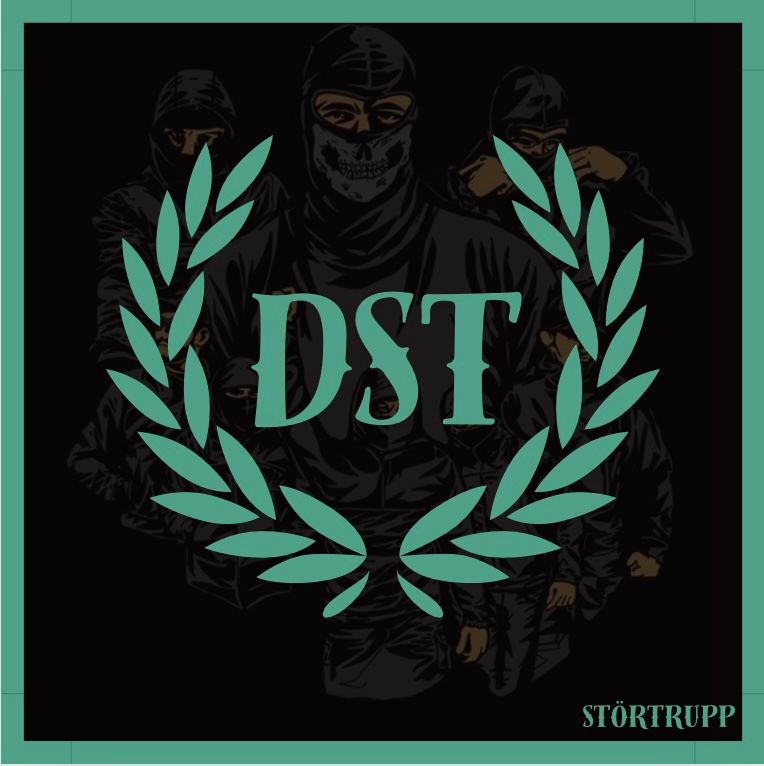 Der Störtrupp Deutschland tweet media