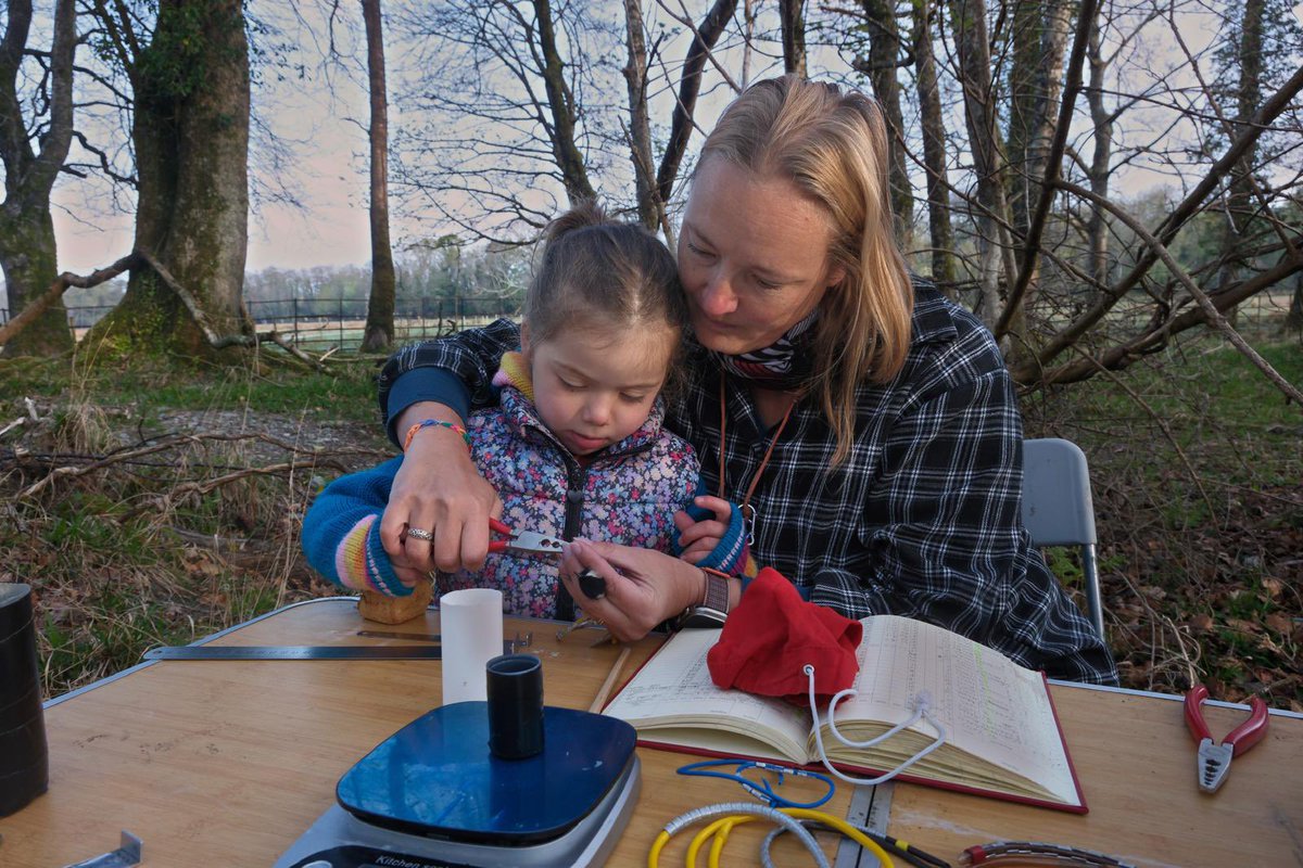 Sam Bayley tweet media