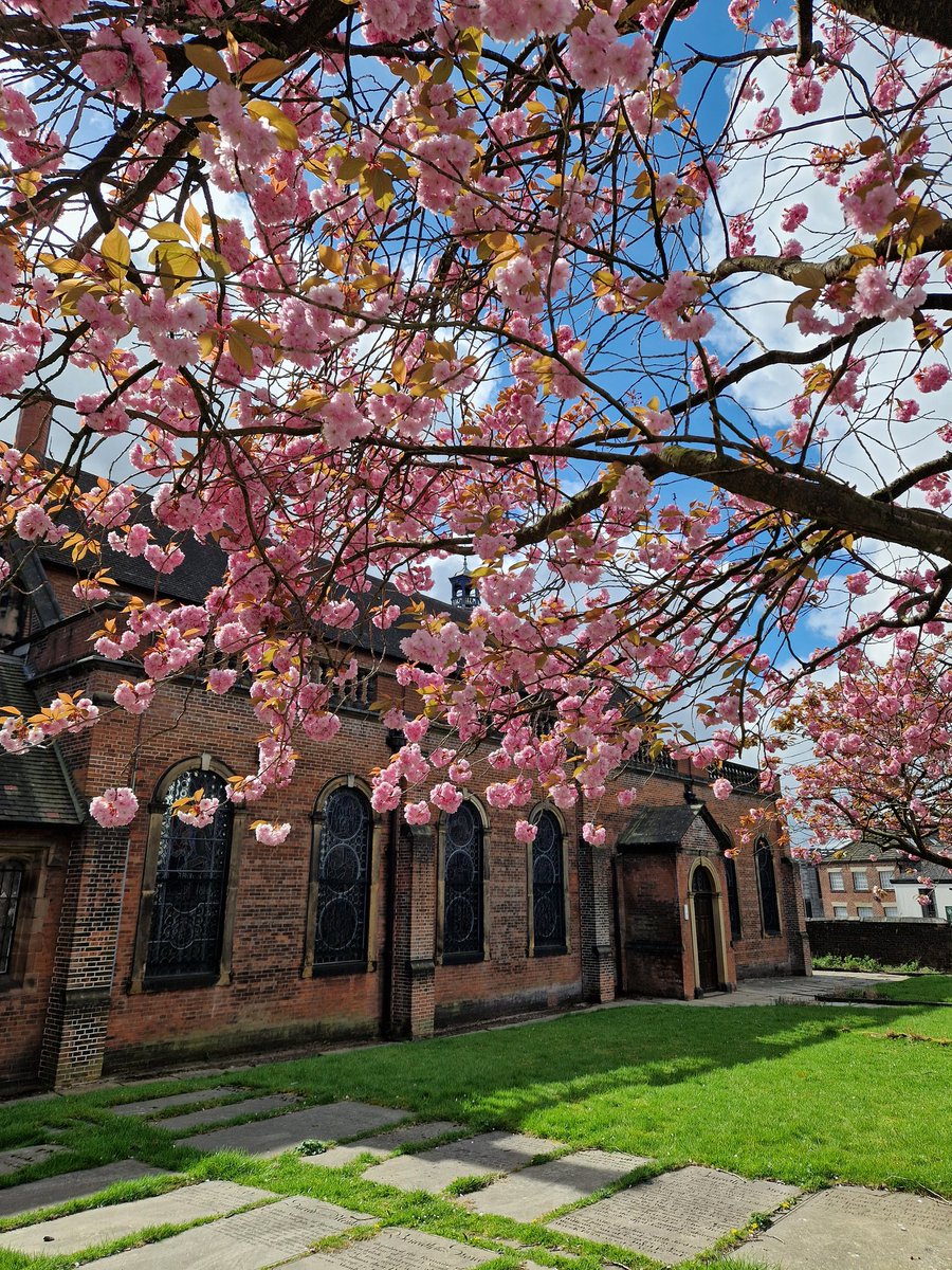 St Mary in the Baum Rochdale (@stmaryinthebaum) on Twitter photo #BlossomWatch
A wonderful start this morning to Palm Sunday. Our blossoms 🌸 are blooming.
<a href="/DioManchester/">Diocese of Manchester</a> <a href="/nationaltrust/">National Trust</a> #BlossomWatch
A wonderful start this morning to Palm Sunday. Our blossoms 🌸 are blooming.
<a href="/DioManchester/">Diocese of Manchester</a> <a href="/nationaltrust/">National Trust</a>