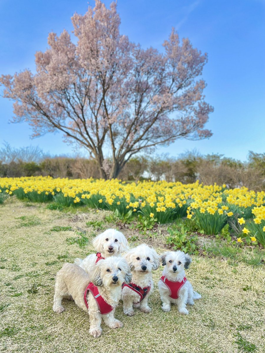 date_koji's tweet photo. https://t.co/7TSrgrX4sr
