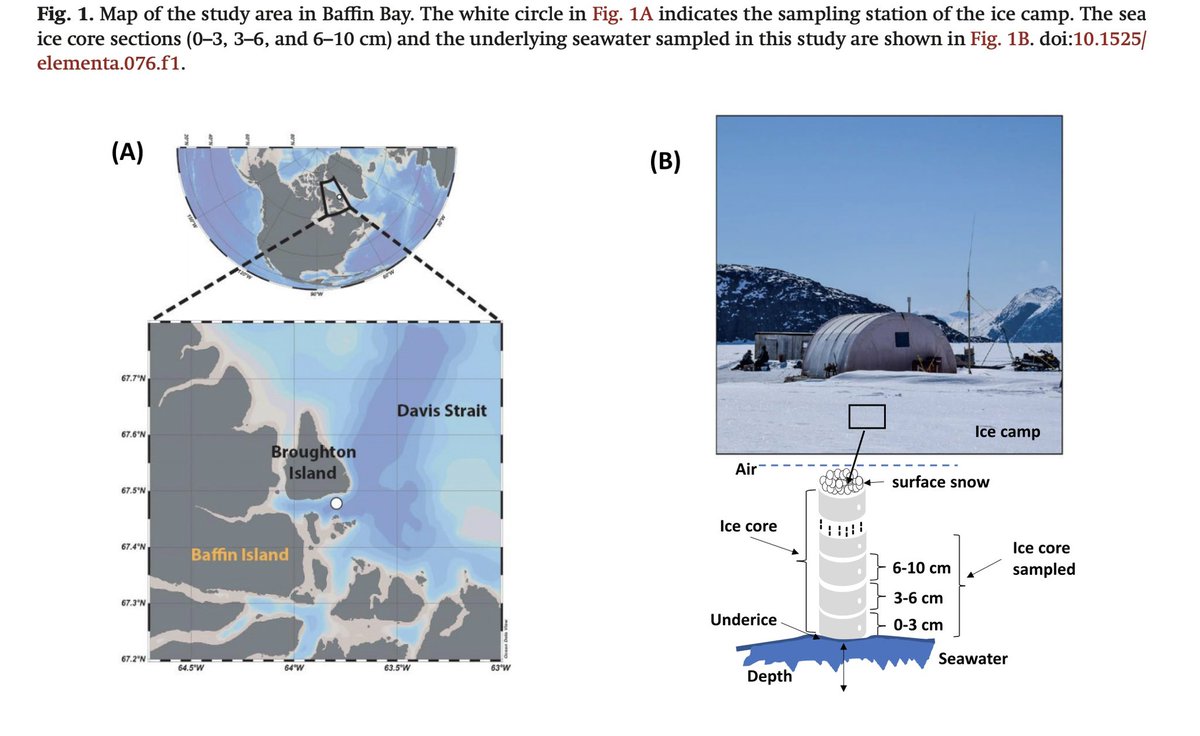 New article dealing with ´Dynamics of dissolved carbohydrates during the spring season ice melt season in the Canadian Arctic’ by Panagiotopoulos et al.