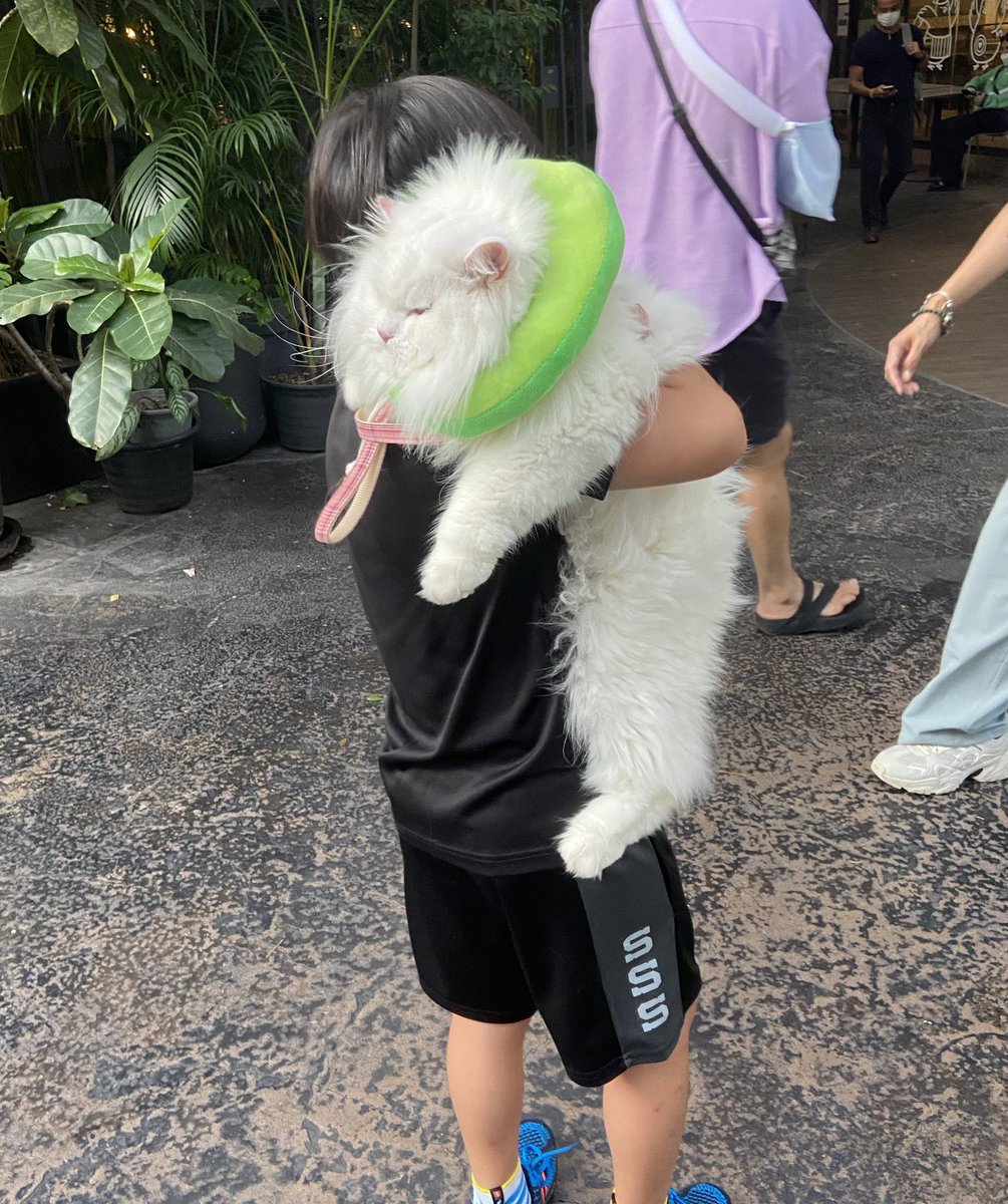 นีนี่ฮุนฮุนเป็นน้องพี่หมี🐻🐱 tweet media