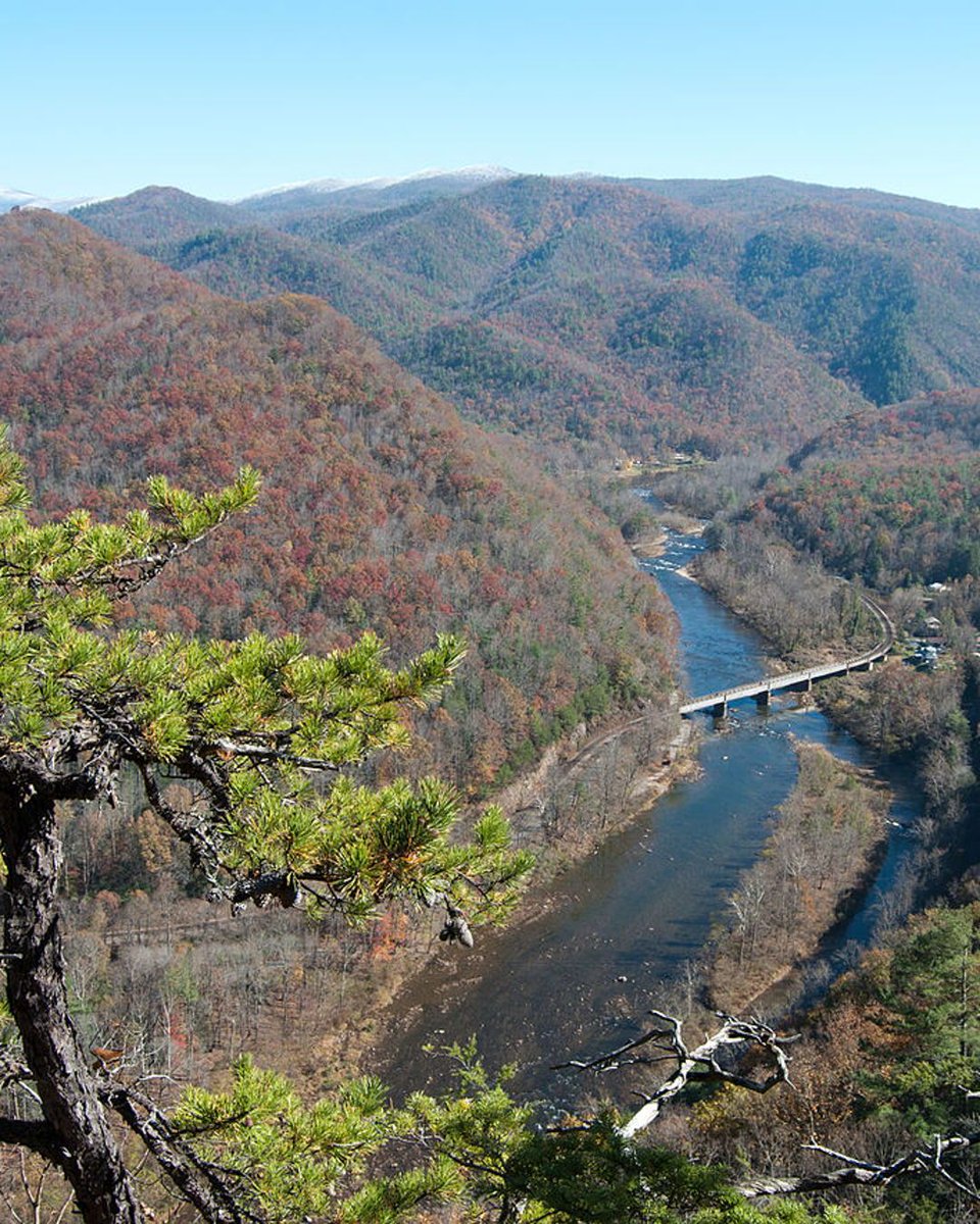 pennyamileorg's tweet image. Near Erwin, TN, hikers pass through land once used for railroads and logging—now returned to wilderness. A powerful reminder that nature can heal with time. 🌲🚂

#TrailRestoration #Backpacking #PennyAMile @kp4nc

pennyamile.org

Photo: Mark Fickett - Own work