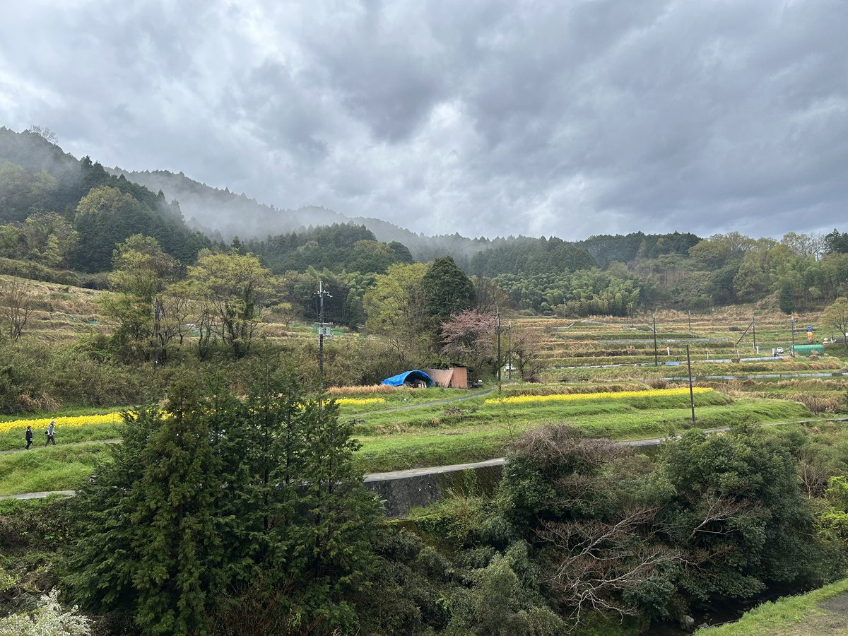 MKTP48's tweet photo. ＜念願の稲作始めます！＞
奈良県明日香村での棚田オーナー制度を利用した稲作を始めます！コロナ禍以降田んぼの活動はできていませんでしたが今年度から再開！今日は『れんげ・菜の花祭り』に参加しました！名札立てや刈払機安全講習などが行われました。美味しいお米が収穫できるように頑張ります🌼 https://t.co/Ndiz0zEaa1