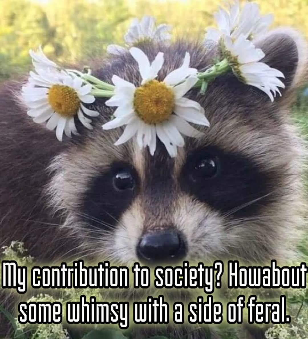 𝕀 ℙ𝕣𝕖𝕗𝕖𝕣 𝔻𝕠𝕘𝕤 tweet media