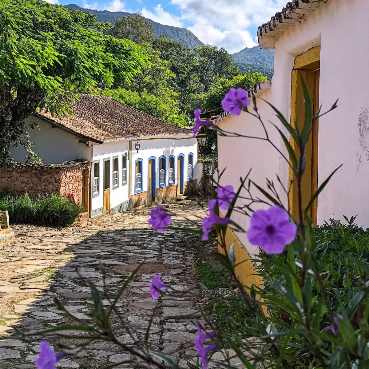 Bom dia Minas, um ótimo Domingo de Ramos a todos. 

📍Tiradentes - MG 🔺

#DomingoAmigosDaLiga