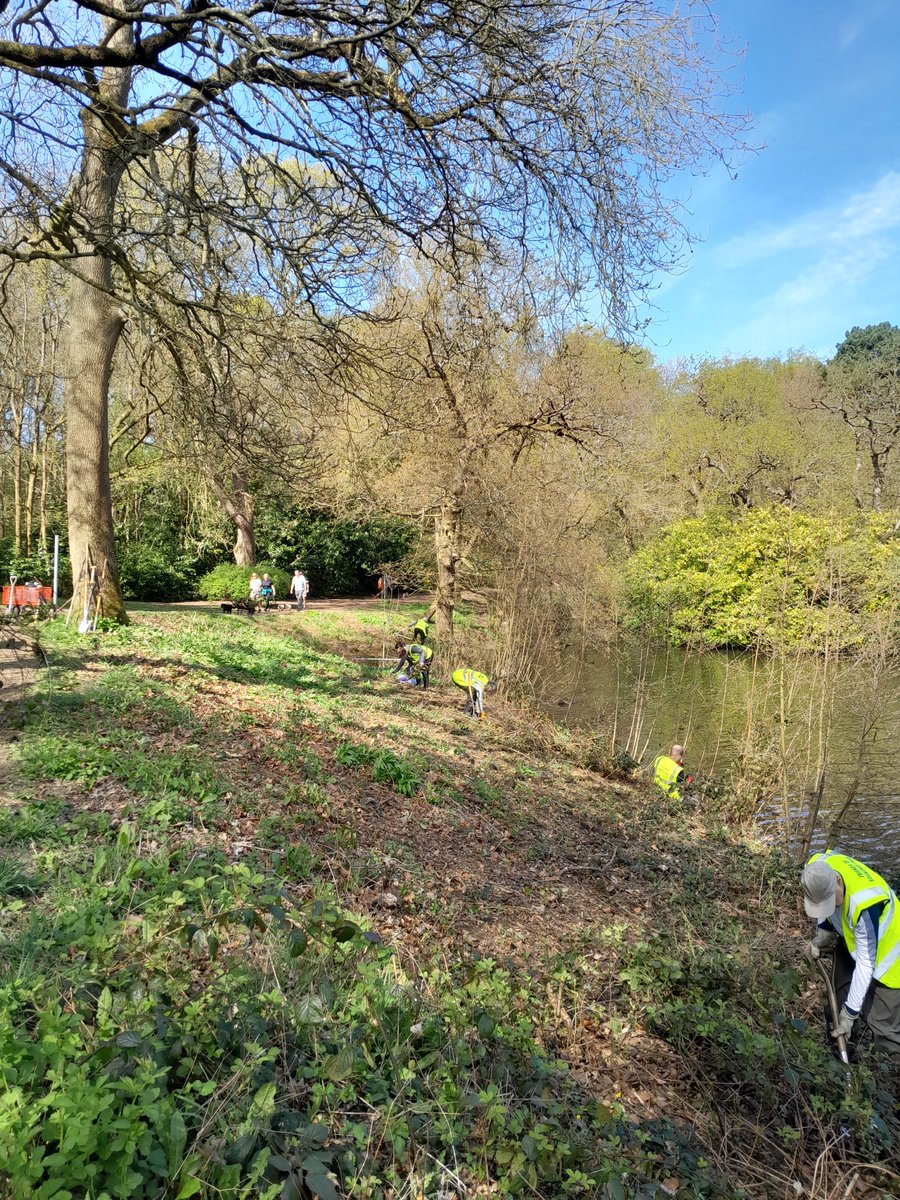 Saturday's working party continued with work from last year, trying to keep the brambles and sycamores down on the upper lakeside up to the pontoon deck. A lovely day for some satisfying work 🌞