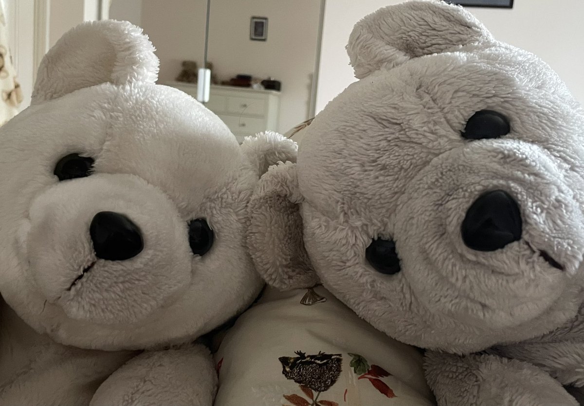 Hooman did some personality tests yesterday. ‘parently she is a polo bear! 🤭😱🤣 

Also a little bit darker than the average Hooman… 🤭 Since Prof JSB is definitely darker than the average Polo and they growed up togevver that fits!

#AssimilationComplete