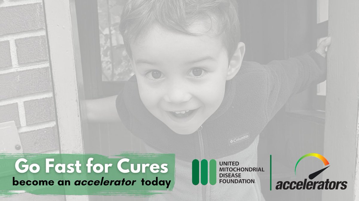 UMDF's tweet image. We&apos;ve received a RECORD number of proposals for our accelerators grant program! Any household which has given $500+ since July 1, 2024 will get a vote in the Big Pitch -- a vote for #mitoresearch. Help us go faster toward cures for #mitochondrialdisease: umdf.org/accelerator