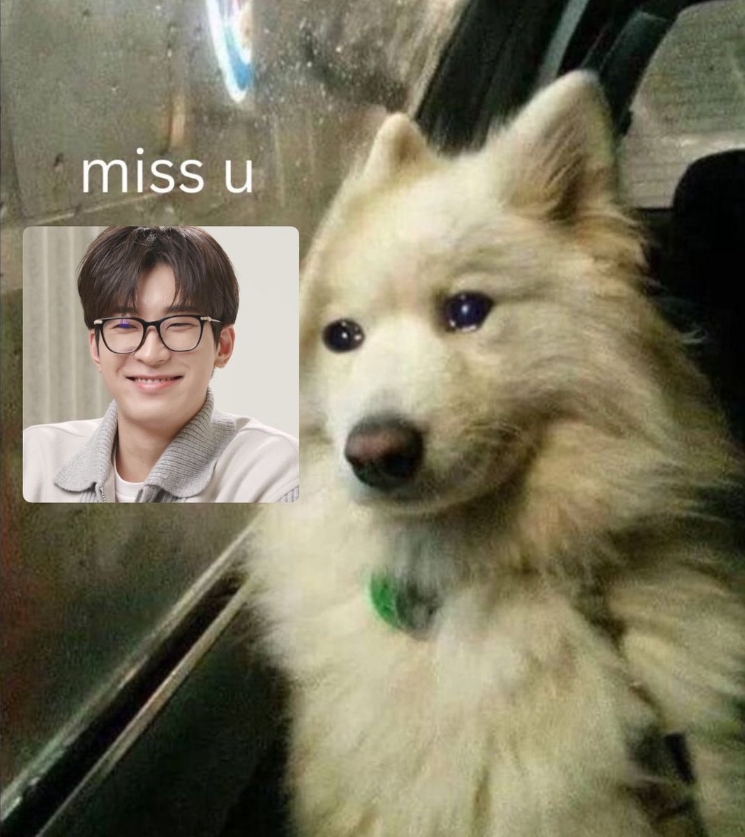 siimpforsebong's tweet photo. 🥺 https://t.co/mm5GfvK1sx