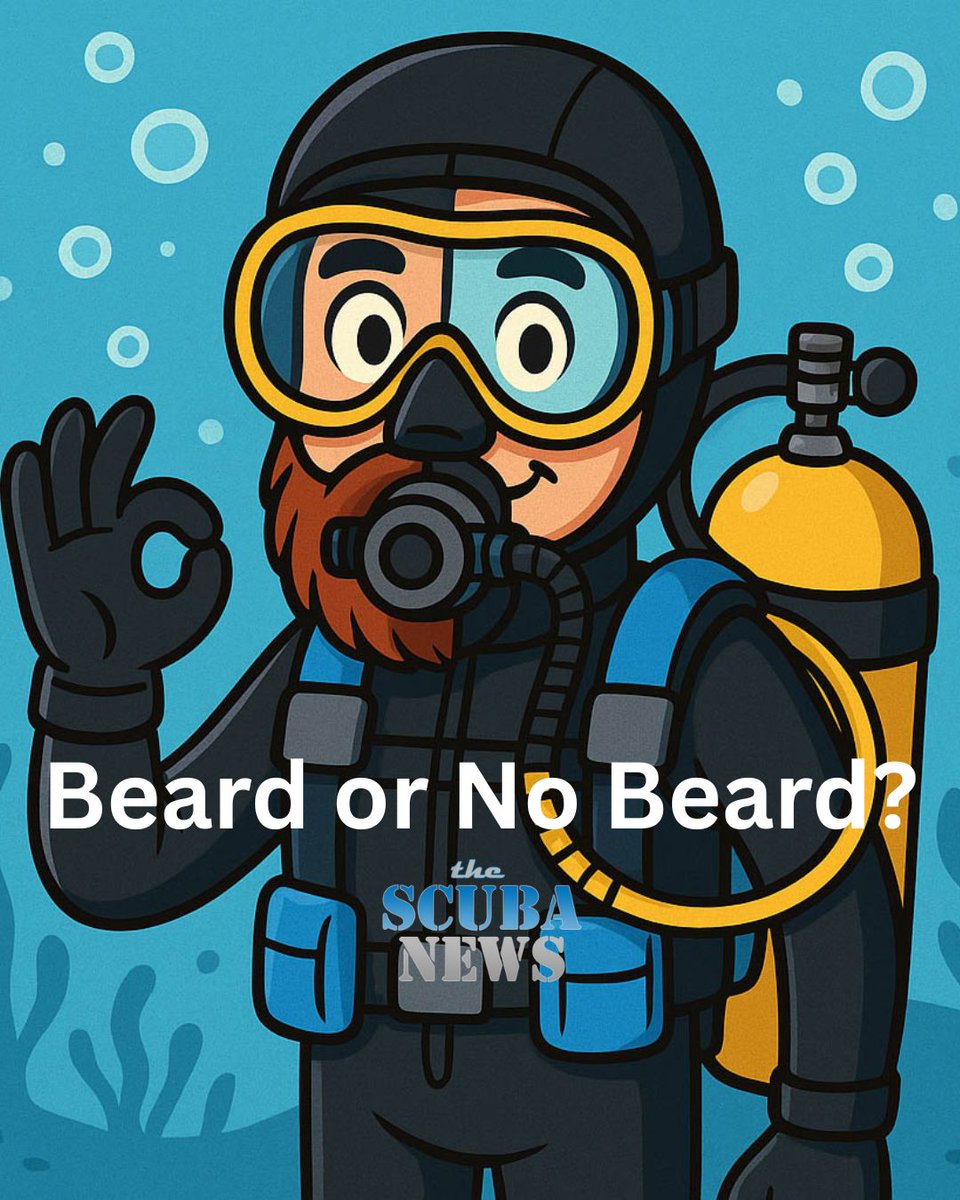 TheScubaNews's tweet photo. 🧔♂️ Beards and scuba: friend or foe? 🤿 Leaky masks or no big deal? Get the truth about diving with facial hair! 👉 https://t.co/QKmzzfzdoK #ScubaDiving #BeardGang #DiveTips https://t.co/zlzpcrGG1s