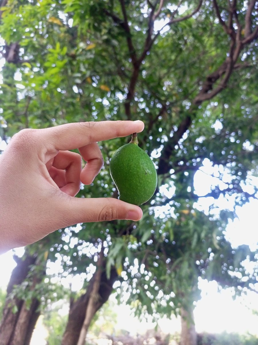 Thoda namak or thodi mirchi milegi?