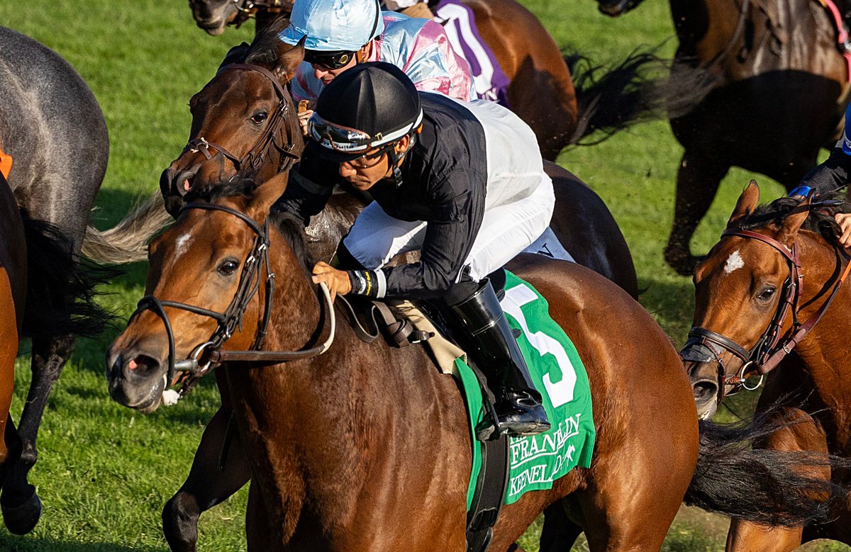 EclipseSports's tweet photo. Franklin Stakes winner FUTURE IS NOW (MD) kicks off her 2025 campaign in today’s Grade 3 Giant’s Causeway Stakes @keenelandracing for trainer Michael Trombetta. 

Can she add another win to her resume? 

📸 Candice Chavez https://t.co/KVa5i6YjSx