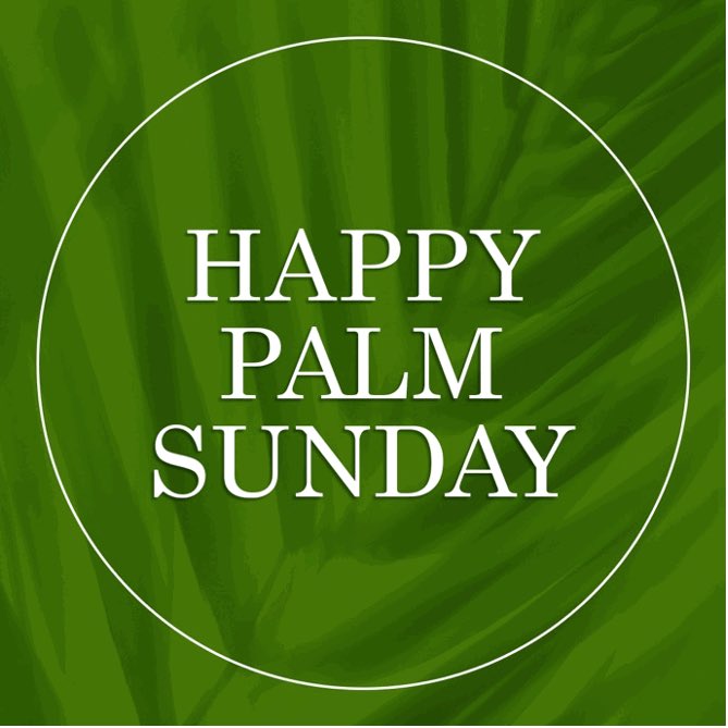 Happy Palm Sunday!
 
“They took palm branches and went out to meet him, shouting, ‘Hosanna!’ Blessed is he who comes in the name of the Lord!”
John 12:13