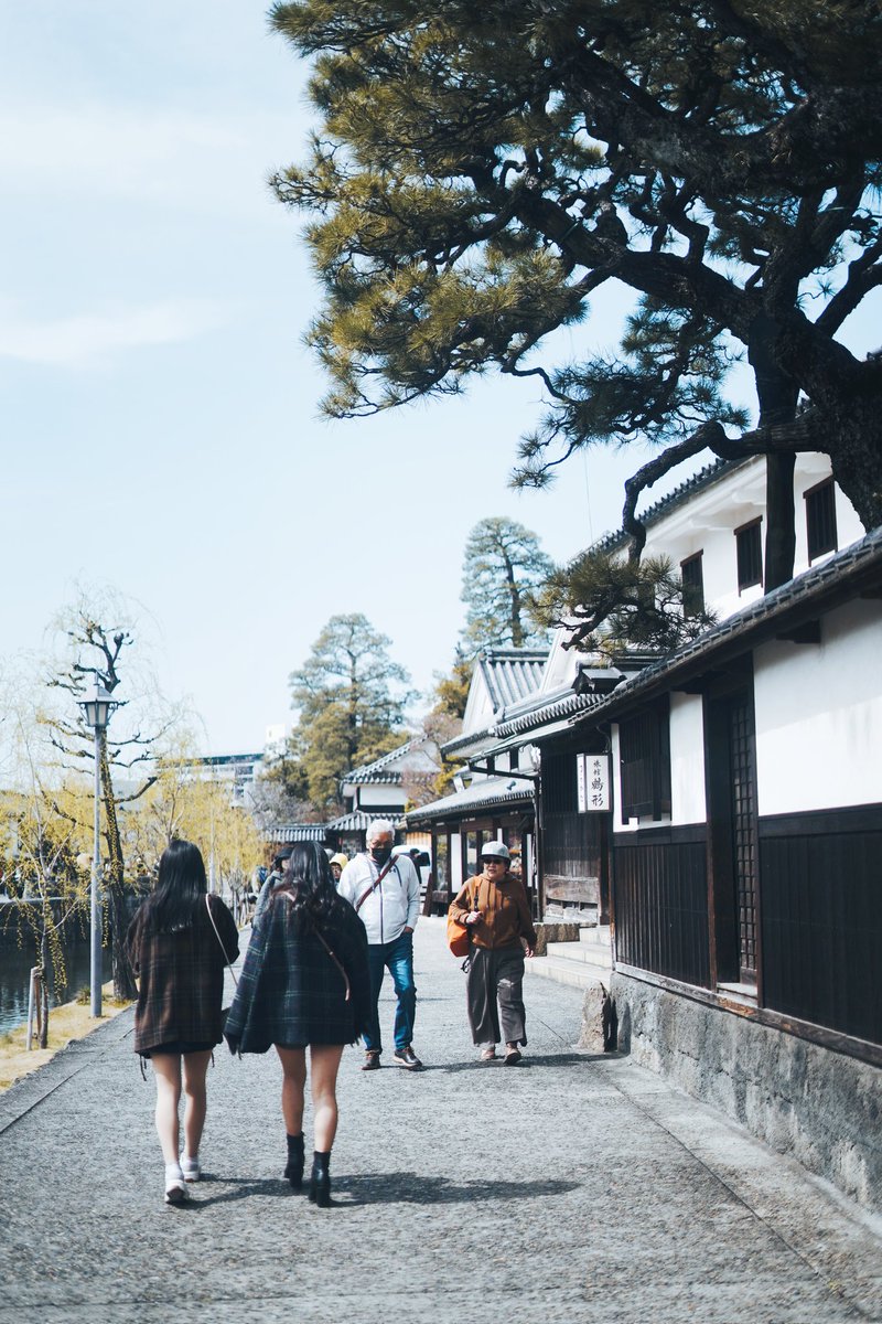 風雅な進路
#写真好きな人と繋がりたい #キリトリセカイ #ファインダー越しの私の世界ᅠ