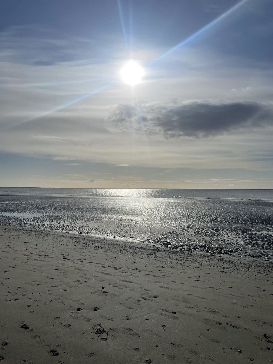 Áine MacNeill tweet media