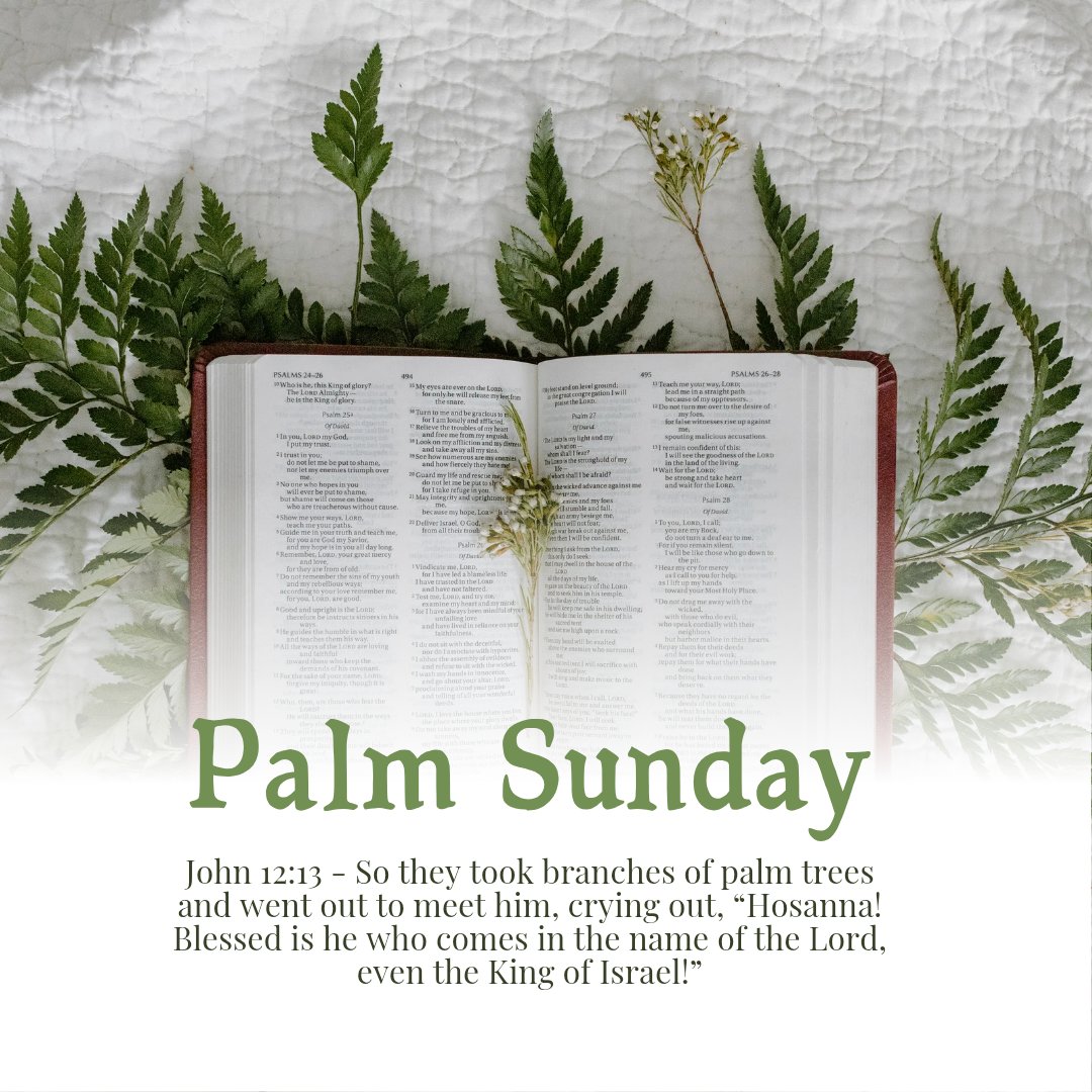 #palmsunday #Hosanna #blessed #KingofIsrael #holyweek
