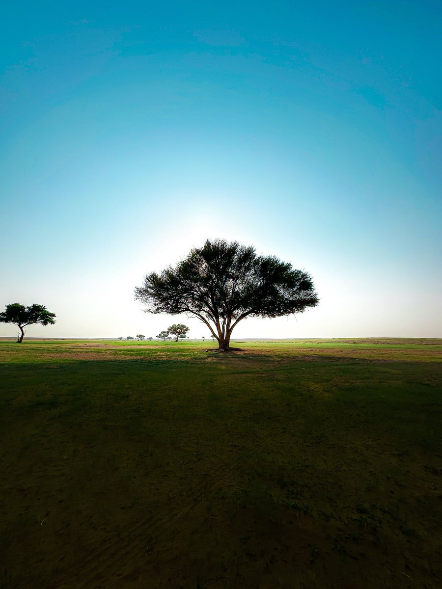 بندر الشريهي tweet media