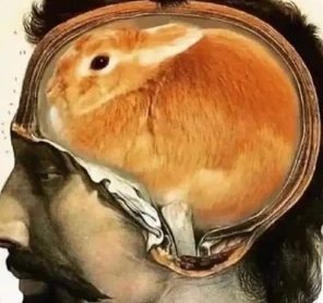 2.5k followers with only 5k~ available Fluffles

gonna go rouge and take this account private @ 5k followers

5k = 5k

flufftardio