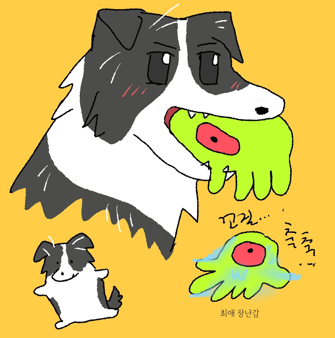 나의 비밀...
난 개가 좋다