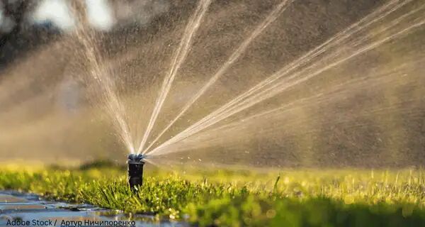 TurfMagazine's tweet photo. 🧑🌾 Remembering Chuy Medrano: A Turf Yardstick Tribute
🌿 Natural Landscapes & The Power of Biodiversity
🚿 DripWorks Guide: Spring Sprinkler System Startup
👉 Read more https://t.co/7XbJzxxvho
#GreenIndustry #LawnCarePros #BiodiversityMatters #LandscapeInnovation https://t.co/j0xeIrJSMc