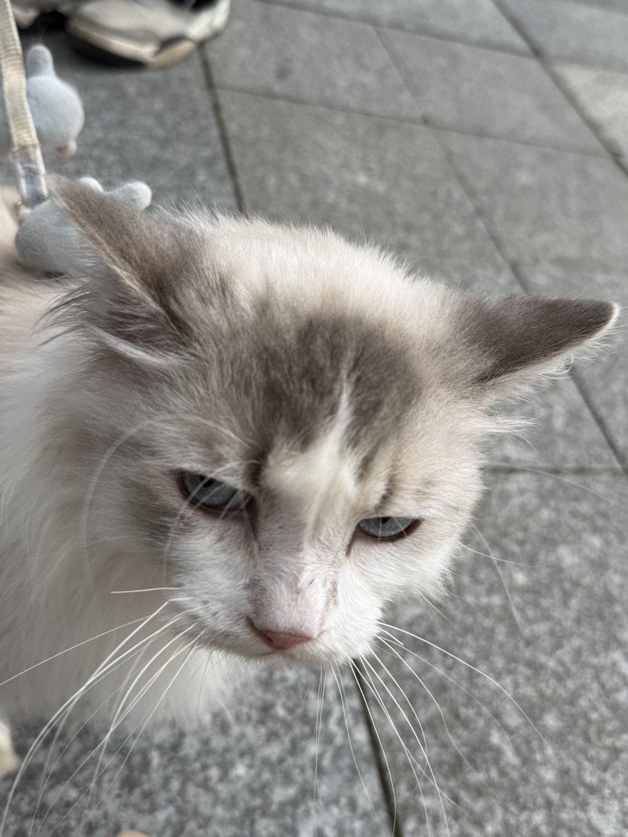 黄推福利内容 - 喵一勺的精彩图片 福利姬喵一勺分享的黄推图片4 - 网红私拍内容