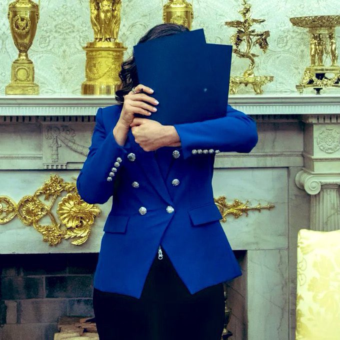 Thank you Gretchen Whitmer for hiding your face and showing the world just how fcking immature you are.