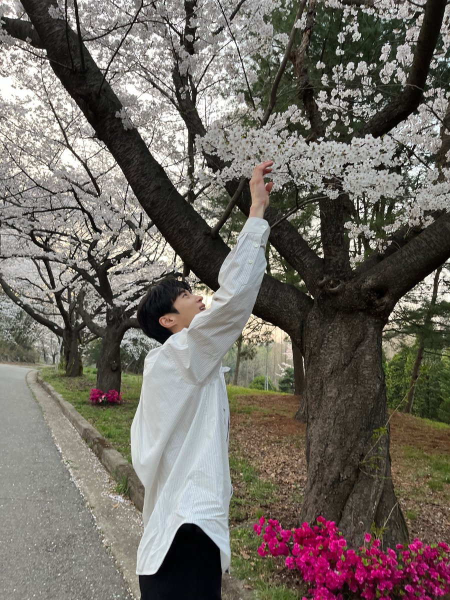 나 오늘 남친이랑 벛꽃놀이하고 옴 
암튼 그럼