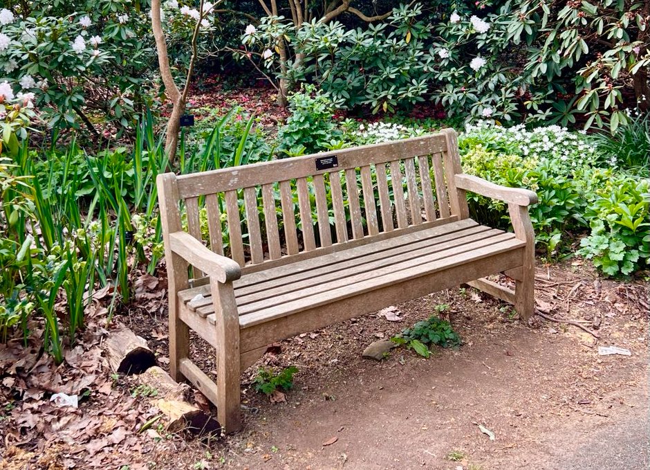 LizzieHelenMay's tweet photo. #fourforFriday - #benches and #blooms at Kew Gardens
@MyFavBench https://t.co/6eivnxenKM