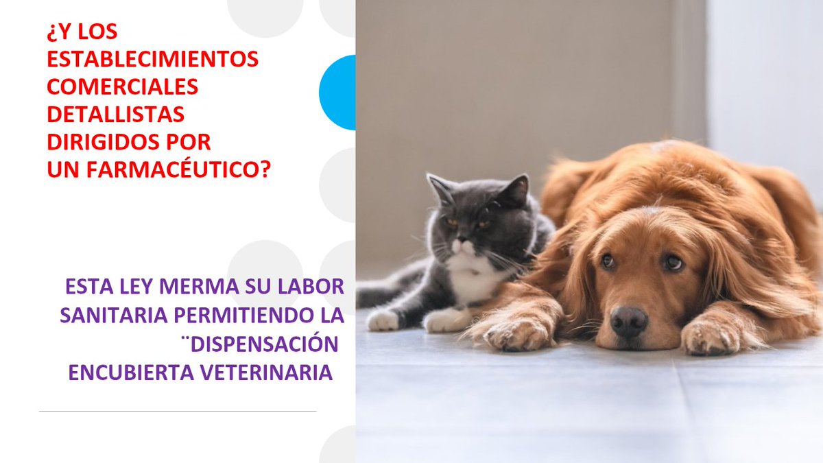 Este borrador de lay del medicamentos debe separar prescripción y y dispensación, también en las clínicas veterinarias #StopNuevaLeyDelMedicamento
#NoALaDispensacionVeterinaria
#QuienPrescribeNoDispensa <a href="/FRLM5666/">Raquel</a> <a href="/MPMorilloRocha/">Pilar Morillo Rocha 🌹💜/♥️ 💚</a> <a href="/realitybehindU/">Luis</a> <a href="/Rodrigueti_fl/">Rodrigueti</a> <a href="/ramon76/">ramon</a>