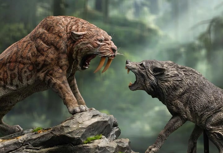 UnvrsoRecondito's tweet photo. Quizá hayas oído de la “resucitación” de un antiguo depredador extinto, suerte de enorme lobo cazador de bisontes y hasta mastodontes.

Una bestia que en pequeños grupos se atrevía incluso con el felino dientes de sable.

¿Realmente se ha logrado revivir una especie extinta?

👇🏼 https://t.co/2Uy1HOngHY