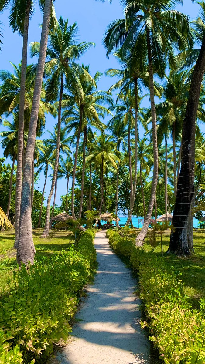 Vibhu_D's tweet photo. Vacation….. 🚶🏻‍♂️ https://t.co/Nz0clAJGcR