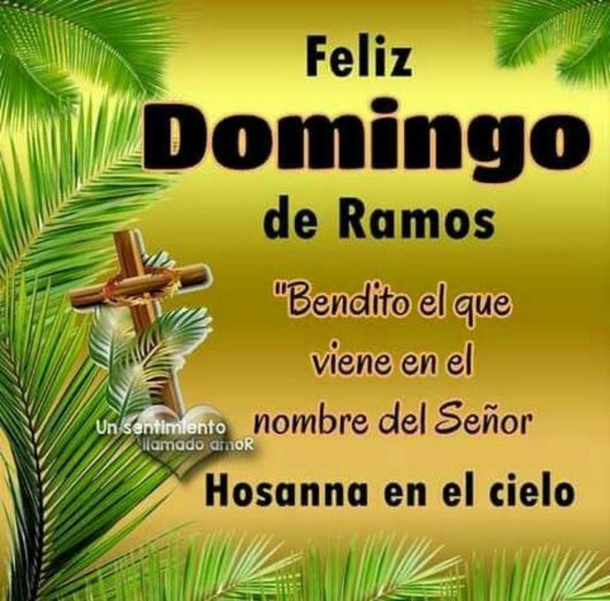 patrybosco's tweet photo. Gracias Amén 🙏 https://t.co/QkYGZg5w3j