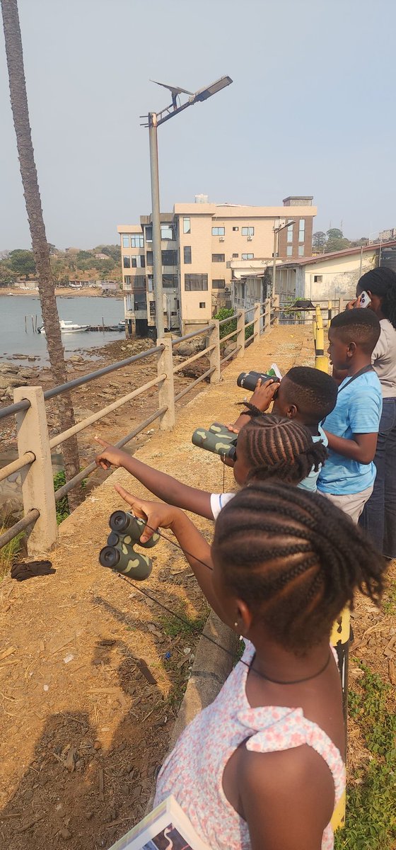 Sade0212's tweet photo. On International Bird Day celebrated on 1st April, my little eco-warriors and I just had to go out birding to spot a few beauties and improve on our bird ID skills.
🌱nurturing little acorns into mighty oaks
🦋 In nature, for nature
#generationrestoration https://t.co/72UvQEngPx