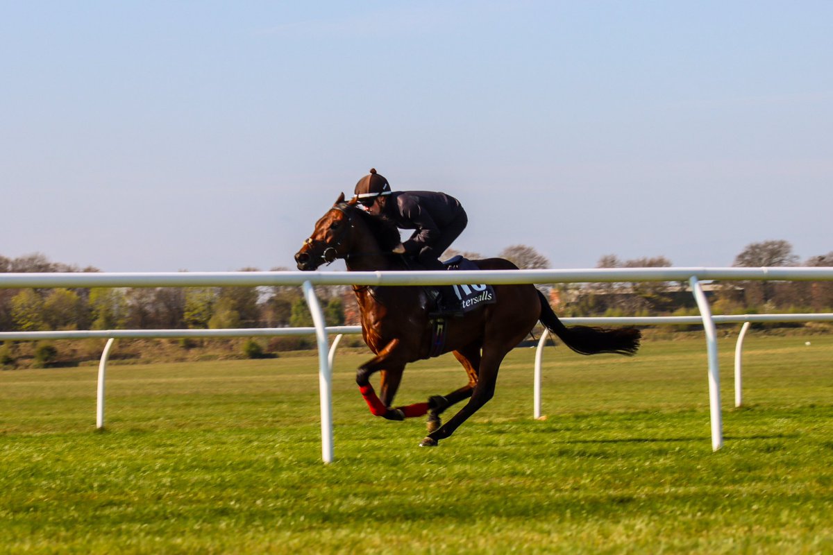 Final prep done and dusted this morning🤩

Ready to breeze at 9:30AM tomorrow. See you on the Rowley Mile🚀